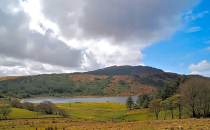 Meadowsweet Forest Lodge
