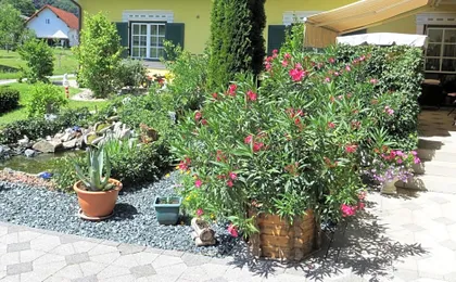 Gästehaus Strini