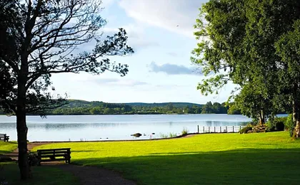 Harvey's Point