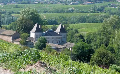 Logis Hotel Des Grands Vins