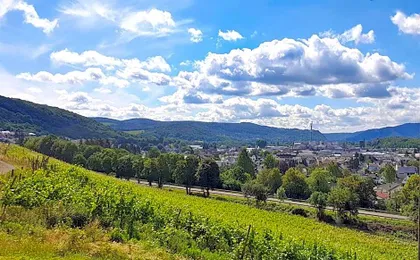 Schloss Arenfels