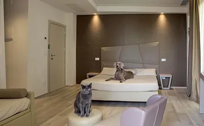 Hotel Principe