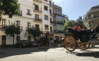 RentalSevilla Apartamento de lujo en la Giralda