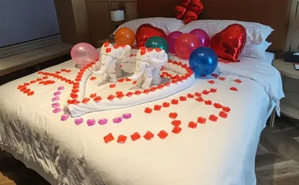 Vienna Hotel (Dongping Xihualian)