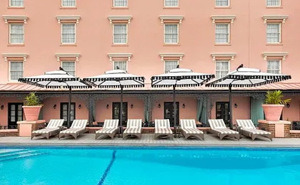 Mills House Charleston, Curio Collection by Hilton