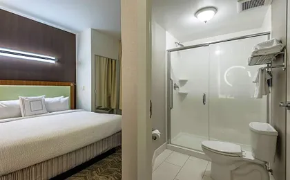 SpringHill Suites by Marriott Statesboro University Area