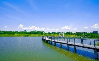 Hotel COZi Wetland
