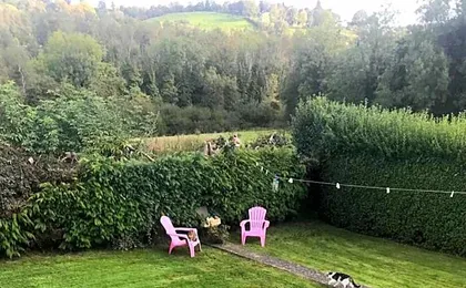 The Meadows Bed and Breakfast
