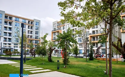 Onix Mamaia