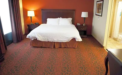 Hampton Inn Rochester-Webster