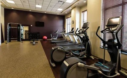 Embassy Suites by Hilton Minneapolis North