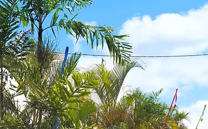 Jackaroo Motel