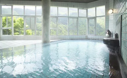 Wanoyado Hotel Iya Onsen Natural Hot Spring