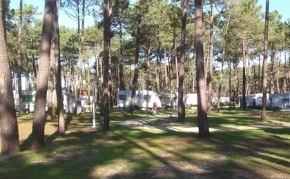 Orbitur Vagueira