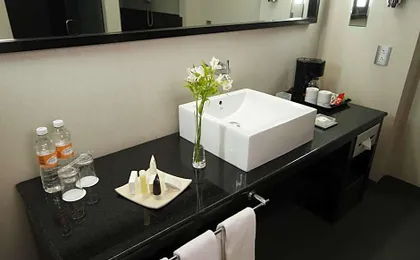 Crowne Plaza Toluca - Lancaster By IHG