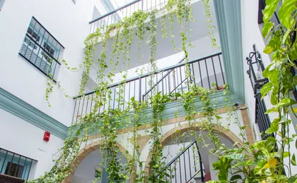 Apartamentos Suites Santa Cruz