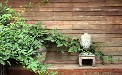 Baan Tye Wang Guesthouse