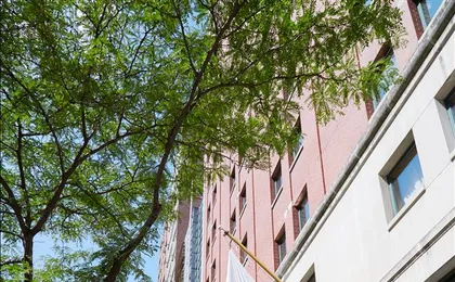 Exterior view