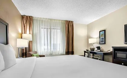 Comfort Inn Detroit Downtown