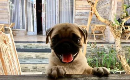 Pange Hostel Lembongan by ZUZU