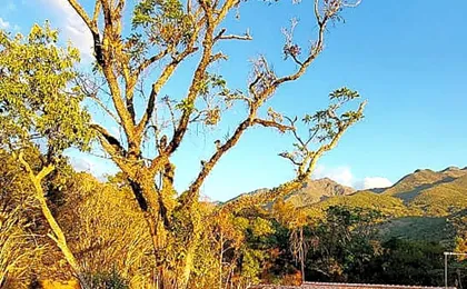 IVOS Hostel & Camping