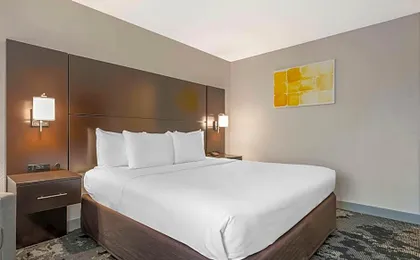 City Express by Marriott Orlando International Drive