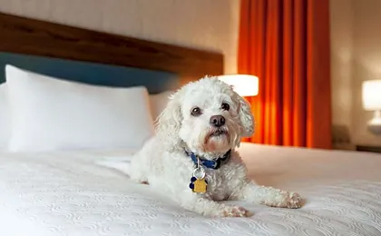 Home2 Suites By Hilton Mt Pleasant Charleston