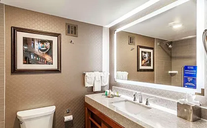 DoubleTree By Hilton Hotel Memphis