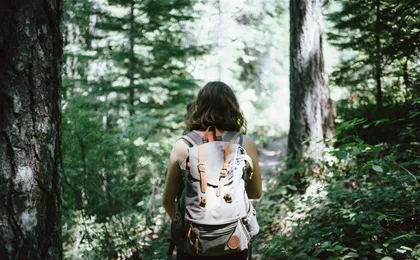 NewBrand marcheuse foret experience