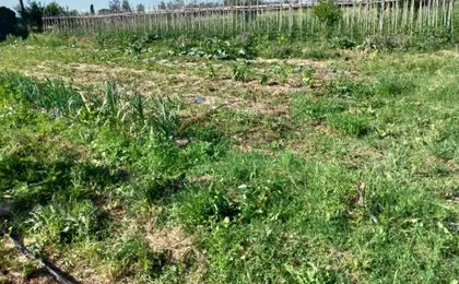Casa Daria, Armonia del Passato nel rispetto della natura