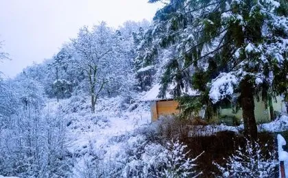Giusvalla Forest Village