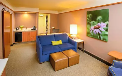 Hilton Garden Inn Rochester Downtown