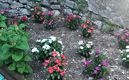 Bed and Breakfast IL CAVALIERE