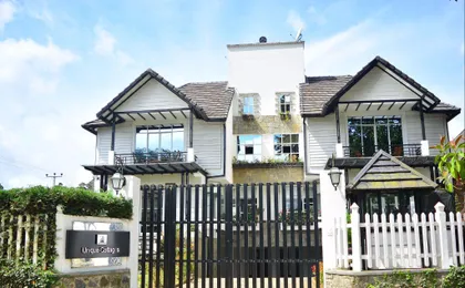 Unique Cottages