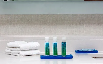 Holiday Inn Express Hotel & Suites Bishop By IHG