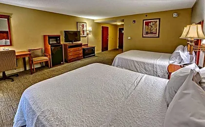 Hampton Inn Manning