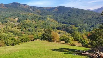 La Sala Vecchia - Lovely Tuscan Holiday house Badia Prataglia, Casentino Valley