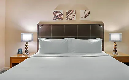 Hilton Dresden