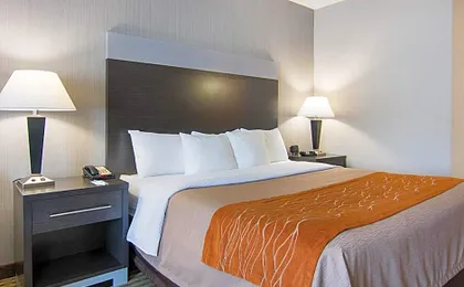 Comfort Inn Camden