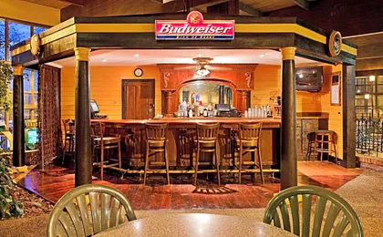 Holiday Inn At Six Flags Saint Louis By IHG