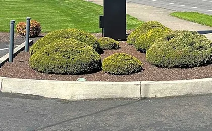 Royal Inn Eugene- Airport