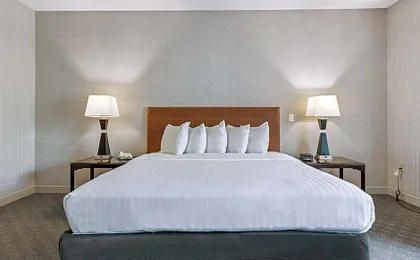 The Hotel Warner
