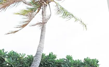 Potshot Hotel Resort