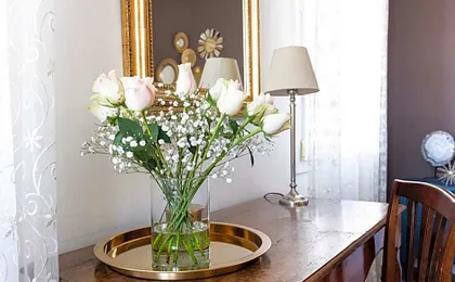 Colombo Bed & Breakfast Mestre