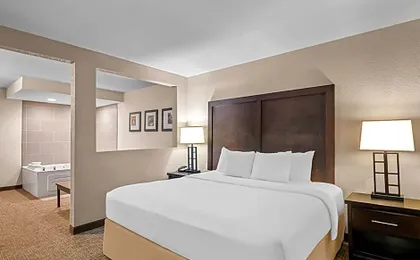 Comfort Inn & Suites Allen Park - Dearborn