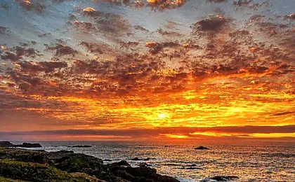 Seabird Lodge Fort Bragg