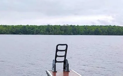 Cozy Escape, Kawarthas Cottage With Sauna