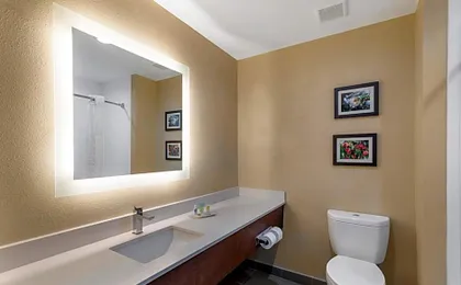 Comfort Suites Locust Grove Atlanta South