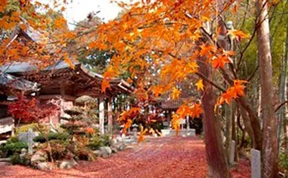 Yasashisanoyado Chikutei