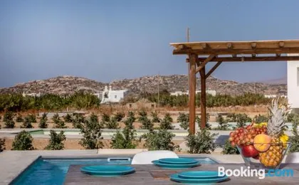 Depis Naxos seafront private villa with pool